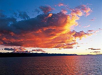 港＆日服NSO试玩同乐会免费游玩 《血污:夜之仪式》