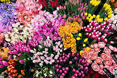 《七键骑士》9月Steam抢先体验 栏位管理肉鸽元素新游