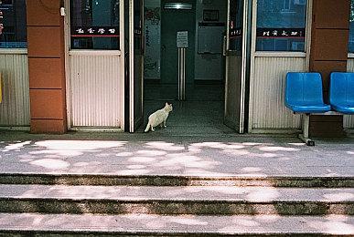 任天堂港服“任亏券”限时销售 支持《异度神剑3》